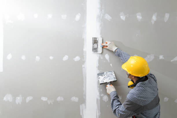 Best Real Estate Mold Inspection  in Spearman, TX